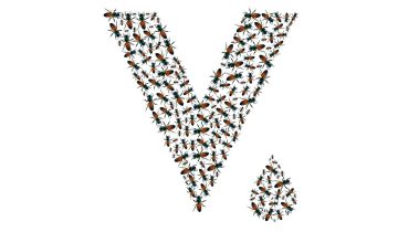 Welcome To V Source