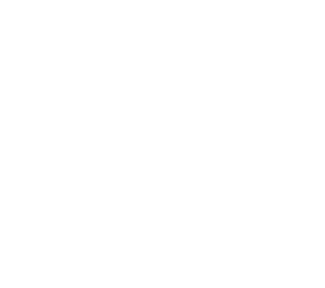 V APOTHECARY