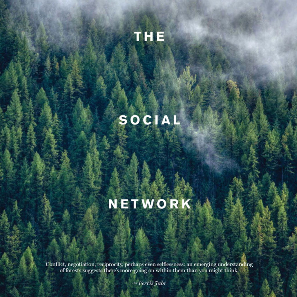 The Social Network