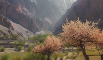 The Hunza People: Exploring Their Lifestyle, Longevity, and Diet Secrets